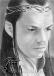 Lord of the Rings - Elrond by Cookai