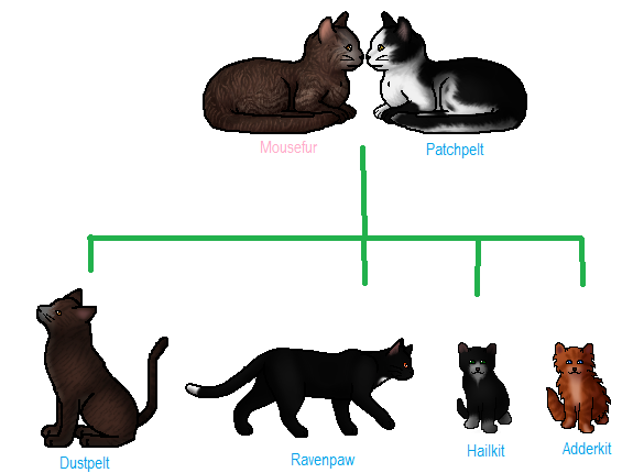 Ravenpaw, Warrior cats Wiki