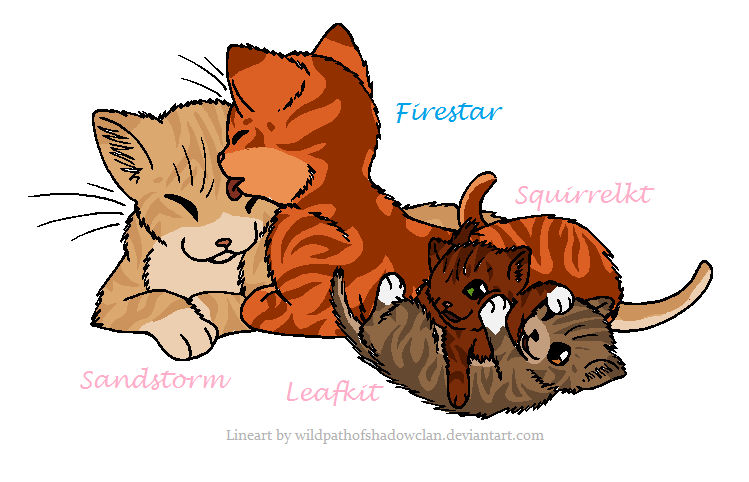 Firestar, Sandstorm and thier kits by petalrulz on DeviantArt