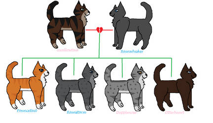 Swallowtail X Rainwhisker's Family Tree