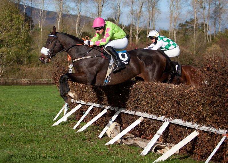 horse clearing a fence