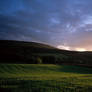 Green Field At Dusk