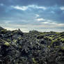 Lava Field, Iceland