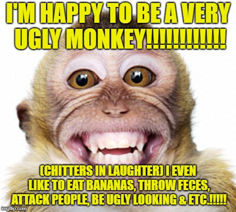 The monkey is happy to be ugly (meme) by MASTUHOSCG8845ISCOOL on DeviantArt