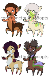 Deertaur Adopts OPEN