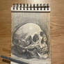 Quick Sketch About Life