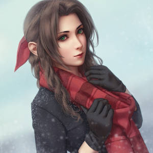 Winter Aerith