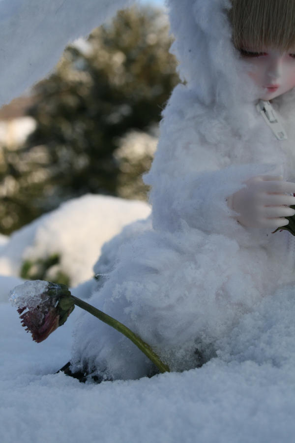 Snow-Bunny 8 by Yonezou on DeviantArt