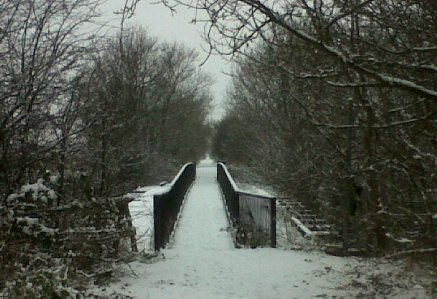 snowy bridge