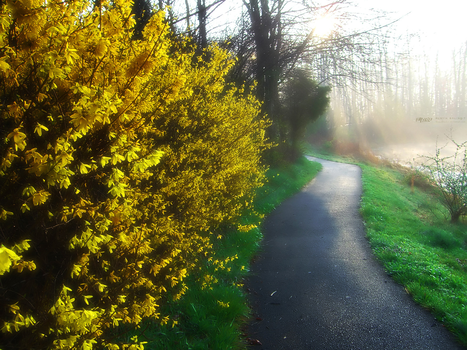 Jogging Path