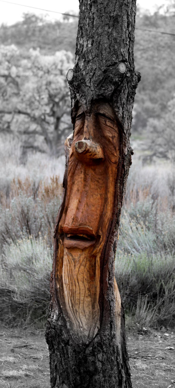 The Smiling Tree by kuffumup on DeviantArt