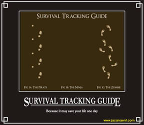 Tracking guide