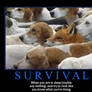 Survival