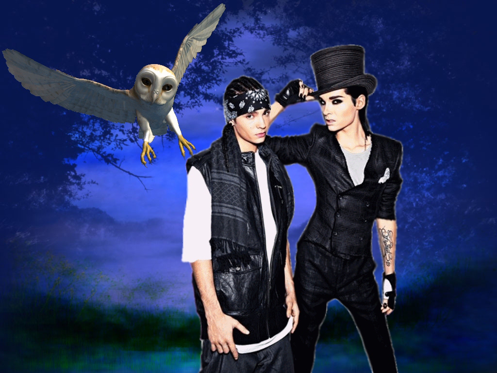 Tokio Hotel Owly Night