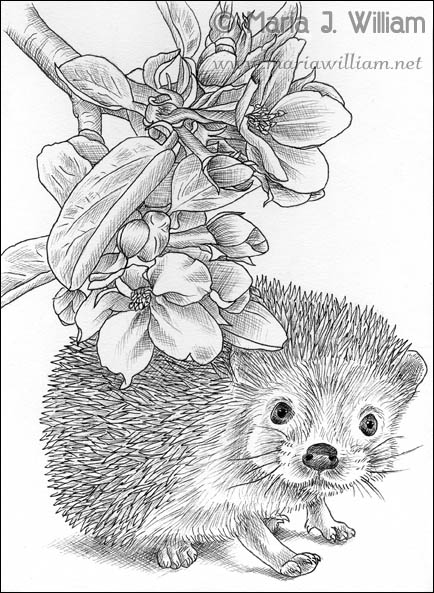 Inktober 2018 - Under The Apple Blossoms by MJWilliam