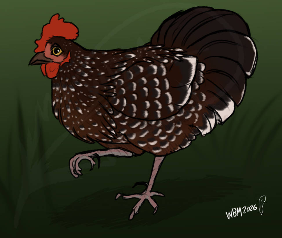 Rooster by WarmBirdMeat on DeviantArt