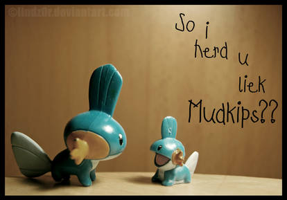 So i herd u liek Mudkips??