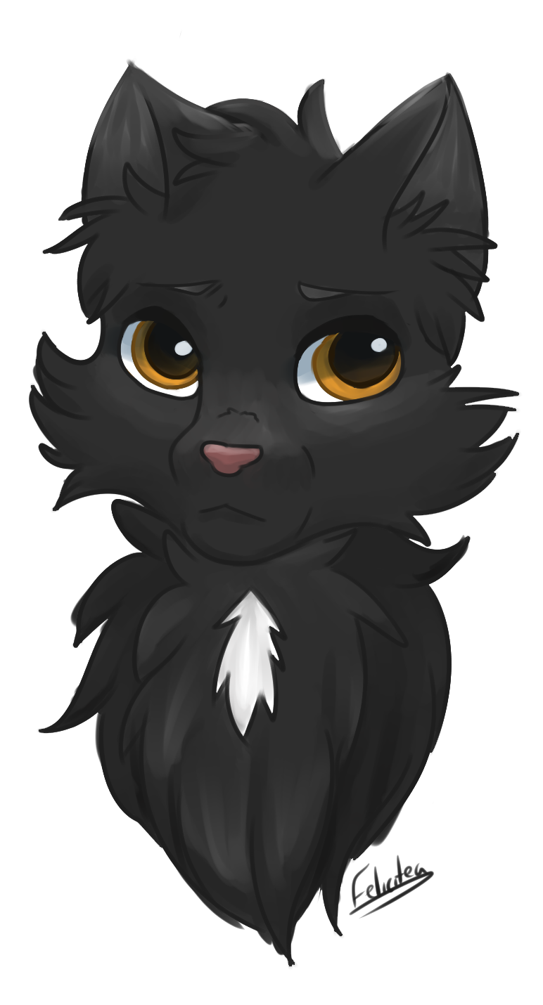 Warrior Cats - RavenPaw by VanyCat on DeviantArt