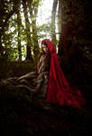 Little Red Riding Hood by Gilliann