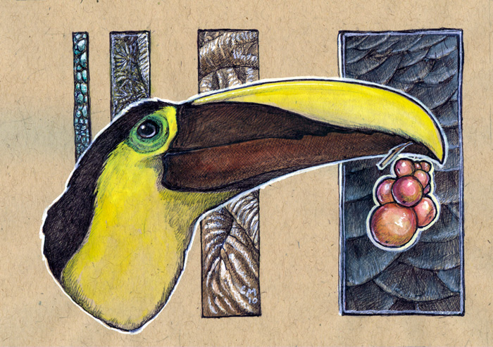 Who can, Toucan