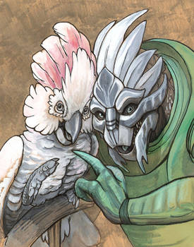 Turian with Cockatoo