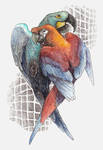 Lost Macaws by caramitten