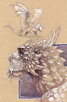 Halcoryx: Study of a Mountain Dragon