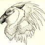 Gryphead