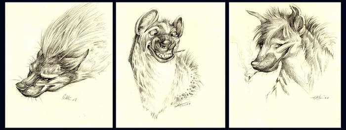 Hyena Series -- 2002