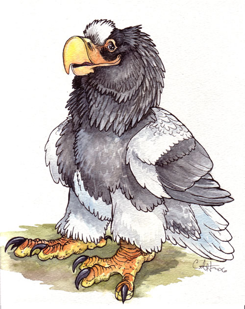 Steller's Sea Eagle