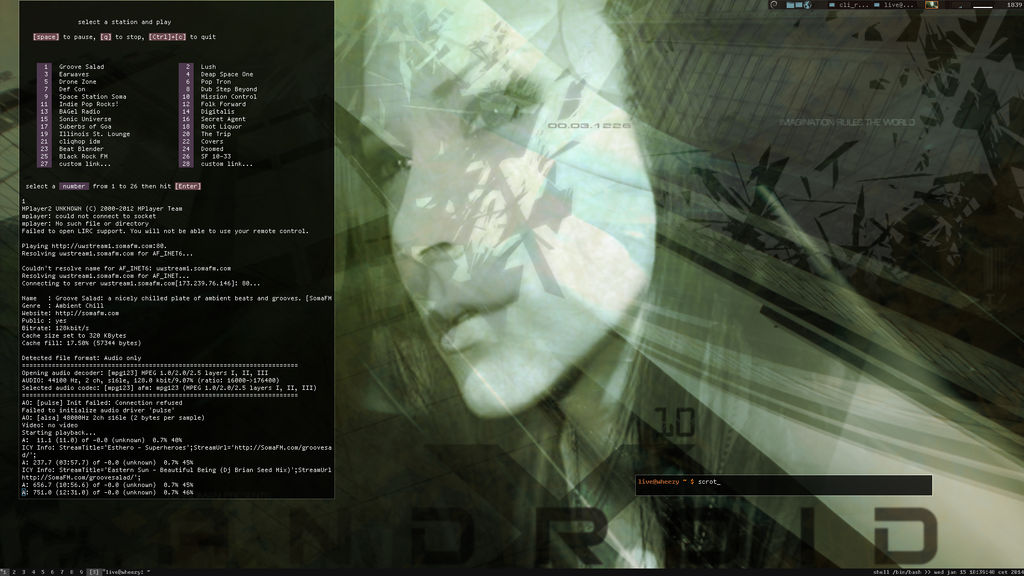 dwmX 20140115 'android'