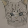 Jayfeather