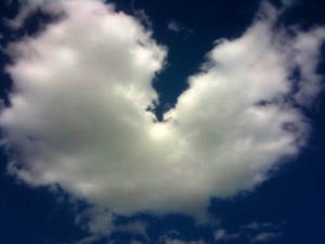 Love In the Sky