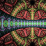 Fractal Enigma