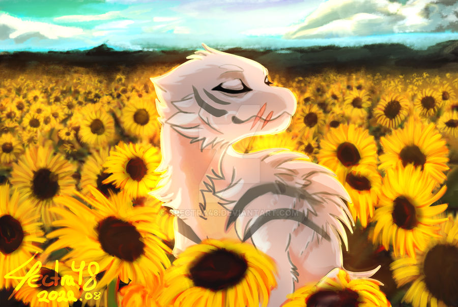 Deviantart Spectra48 Sunflowers by Spectra48 on DeviantArt