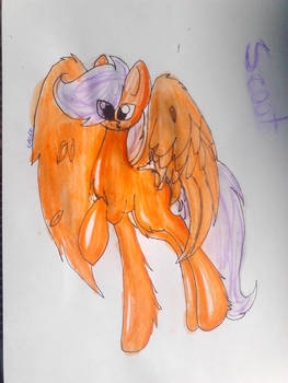 Scootaloo