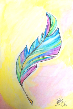 Colourful feather