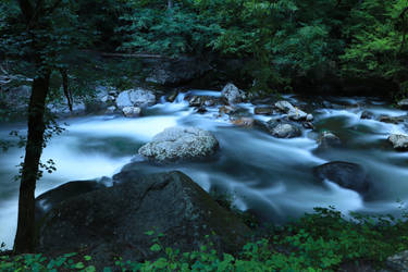 Little Pigeon River