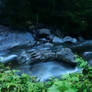 Bear Claw Rapids