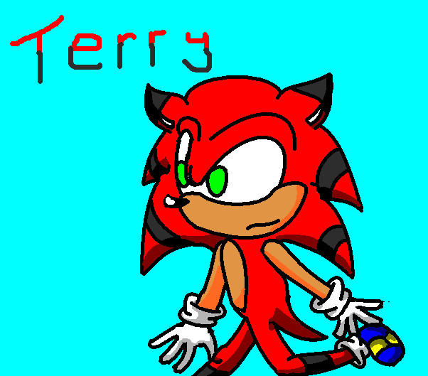 Terry by RennTheHedgehog99 on DeviantArt