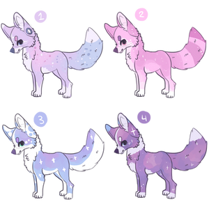 galaxy fox adopts CLOSED