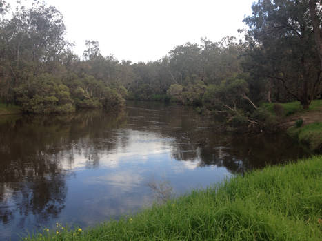 Reflected river