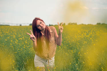 In the Canola Fields