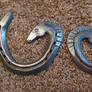 Horse Shoe Wall Hangings