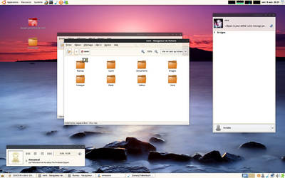 Ubuntu Desktop 080808