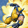 Wolverine