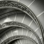 Fantail by marrgit