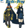 Birds of Prey Redesign