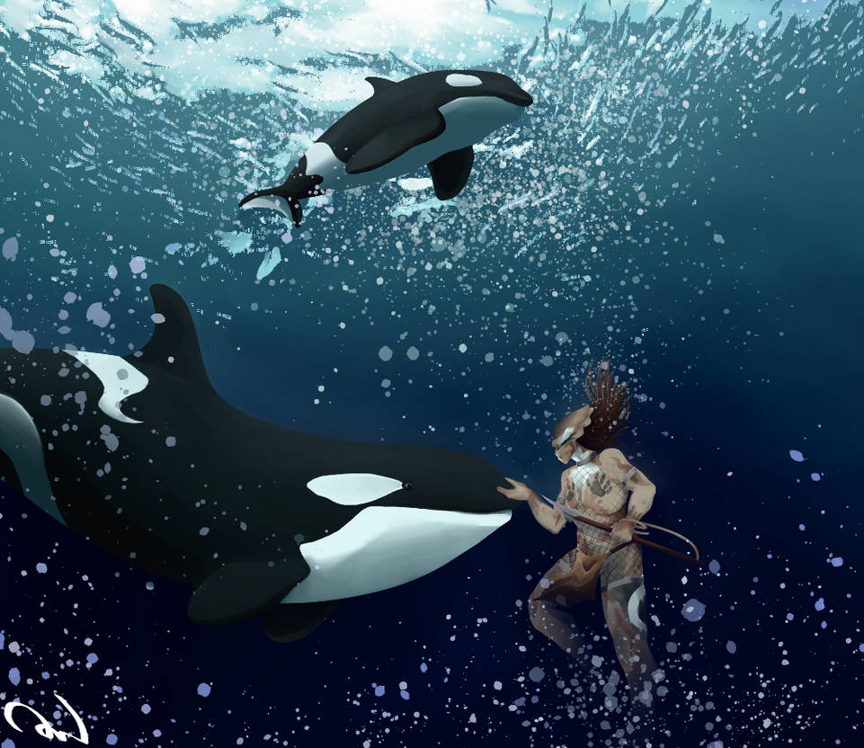 Orca Pff Orca's by katanycatpuff on DeviantArt