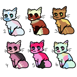 Cheap Set Price Cat Adopts (5/6)